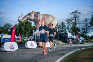 BIB: 
                            <button type="button" onclick="openModal(26541902)" class="btn btn-primary btn-sm float-right btn-popup" data-toggle="modal" data-target=".modal-high-quality">
                        <i class="fas fa-shopping-cart"></i> Add to Cart
                    </button>
                                            <button type="button" onclick="isThisMe(26541902, true)" class="btn btn-success btn-sm float-right btn-popup btn-isme hidden" data-toggle="tooltip" data-placement="bottom" title="นี่คือรูปของคุณใช่ไหม คลิกที่นี่เพื่อเอาเข้าอัลบั้ม">
                        <i class="fas fa-plus"></i> Add to album
                    </button>
                    <button type="button" onclick="isThisMe(26541902, false)" class="btn btn-warning btn-sm float-right btn-popup btn-isnotme hidden">
                        <i class="fas fa-ban"></i> Remove from album
                    </button>